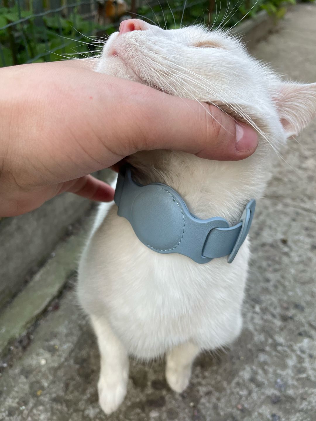 Customer photo review of Leather Collar for Apple Airtag
