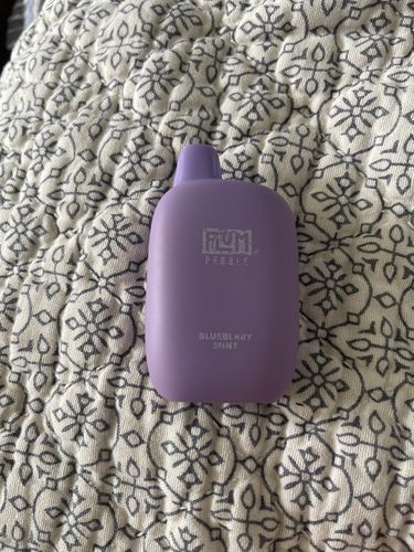 Customer photo review of Flum Pebble