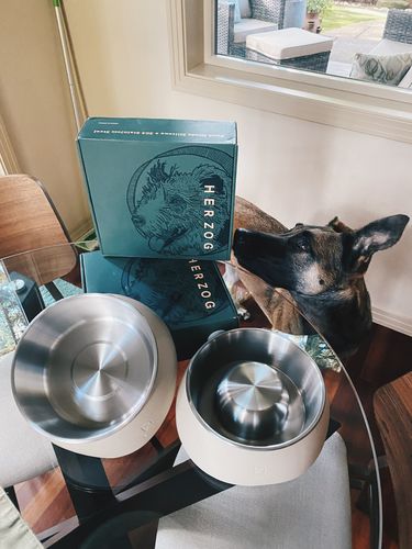 Customer photo review of 8 Cup Bowl
