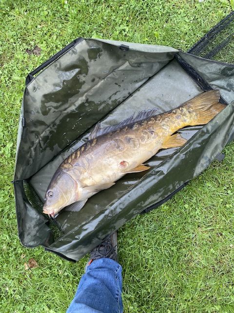 Customer photo review of PREMIUM CARP PELLETS - ALLTECH COPPENS