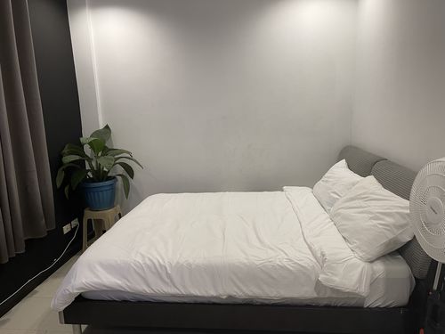 Customer photo review of Plain White