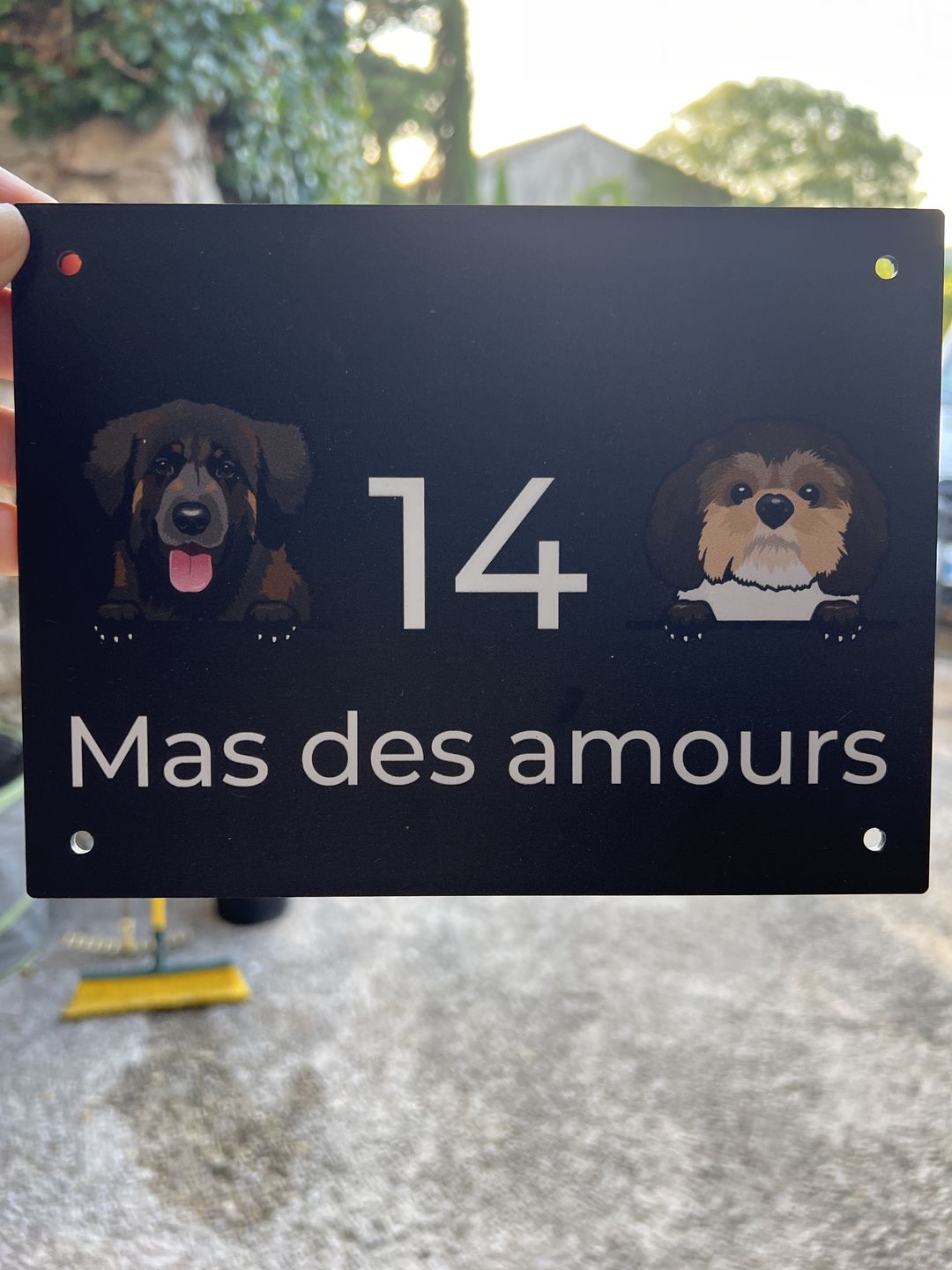 Customer photo review of Chiens curieux et numéro de maison - Plaque de porte personnalisée