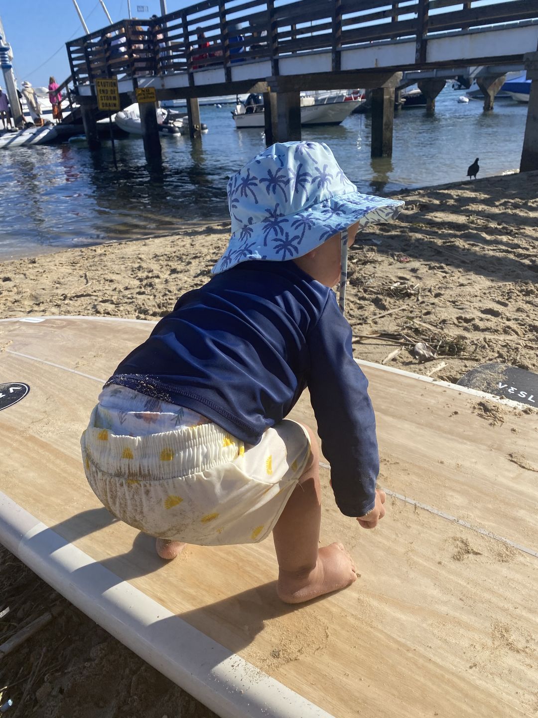 Customer photo review of Boardshort | Suns
