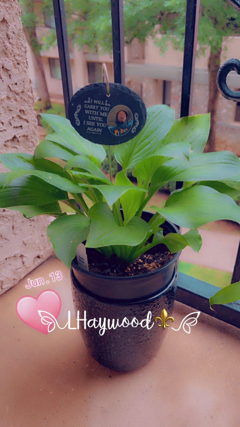 Customer photo review of Not A Day Goes By That You Are Not Missed - Personalized Slate