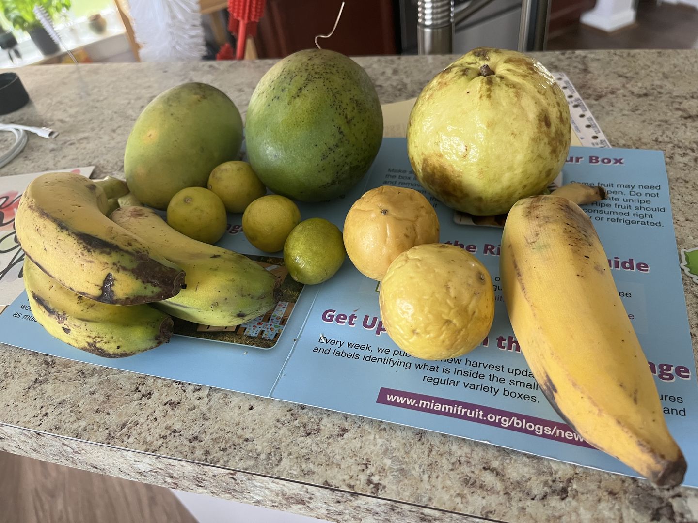 Customer photo review of Leftovers Box