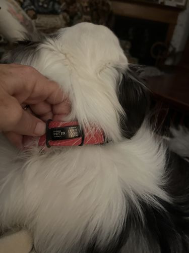 Customer photo review of ByteTag Slide