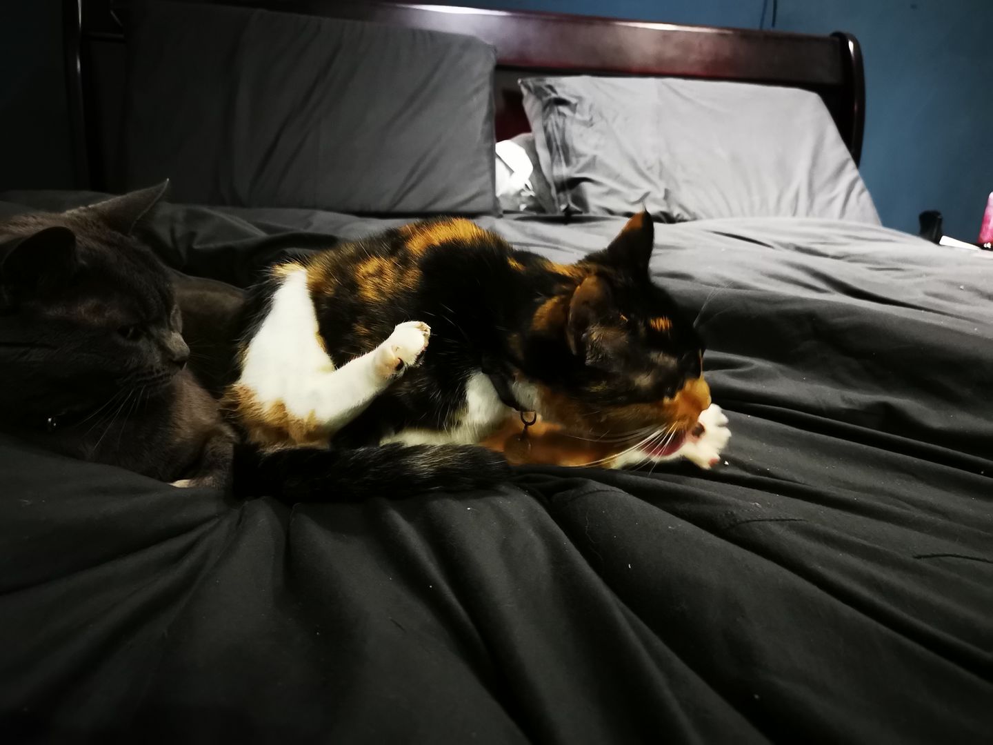 Customer photo review of Colour Block Duvet Cover Set- LIMITED EDITION