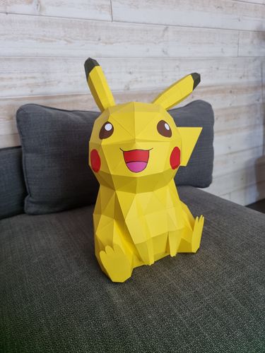 Customer photo review of Patrons Pikachu (pdf)