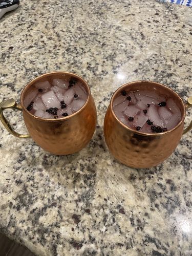 Customer photo review of Elderflower Moscow Mule Kit