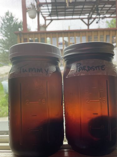 Customer photo review of 28-Day Herbal Detox