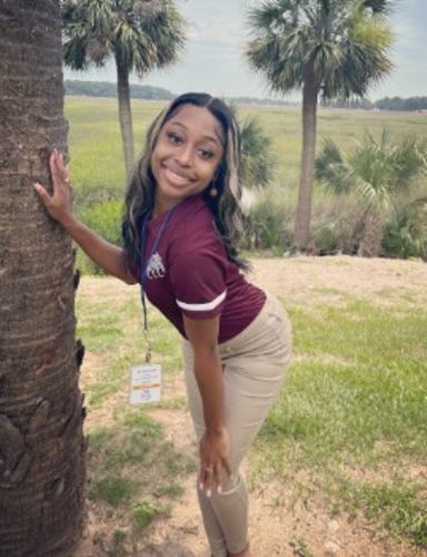 Customer photo review of Luvwin 180% Density Popular Highlight HD Lace Frontal Body Wave Wig 的副本