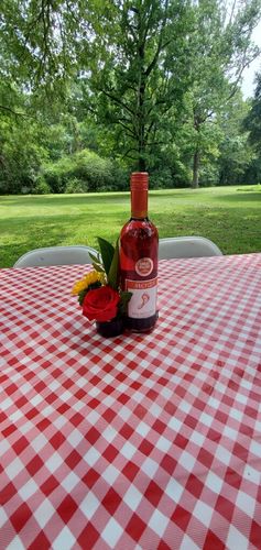 Customer photo review of Bulk pack of 8 Bottle Bouquet holders