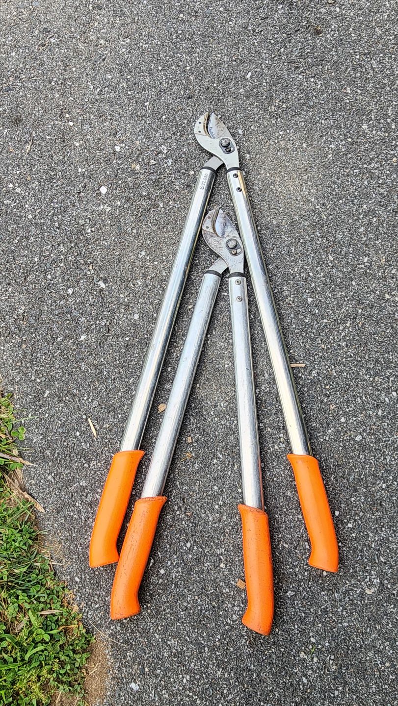 Customer photo review of Original Lowe 32" Anvil Lopper - Heavy Duty Prunner 2" Cut
