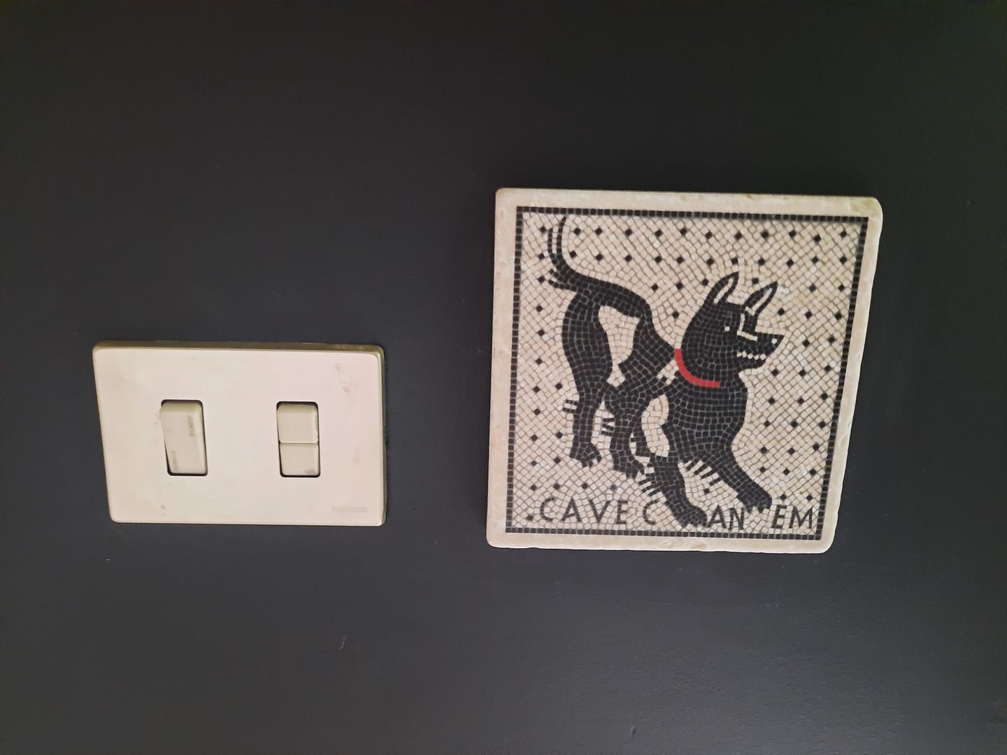 Customer photo review of Cave Canem mosaico di Pompei - mattonella in marmo