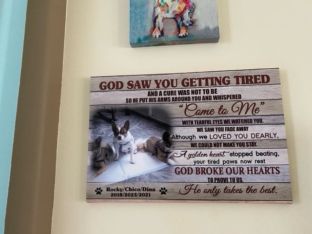 Customer photo review of Personalized Photo Canvas Prints, Dog Loss Gifts, Pet Memorial Gifts, Dog Sympathy, God Saw You Getting Tired Dem Canvas