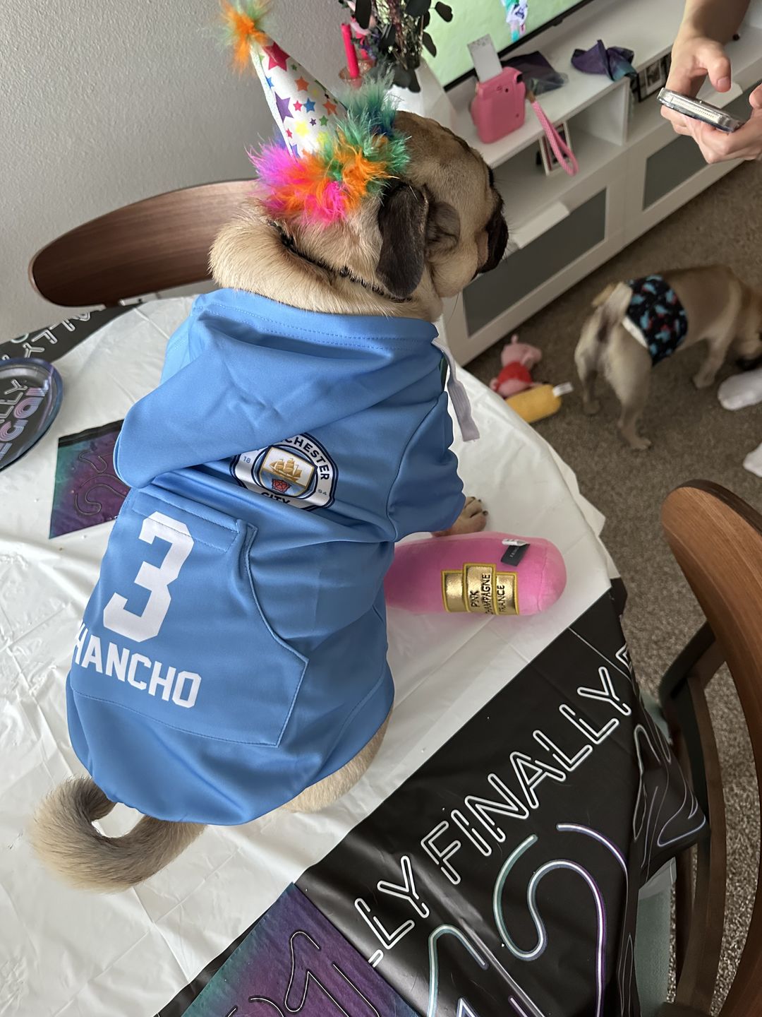 Customer photo review of Manchester City Dog Hoodie