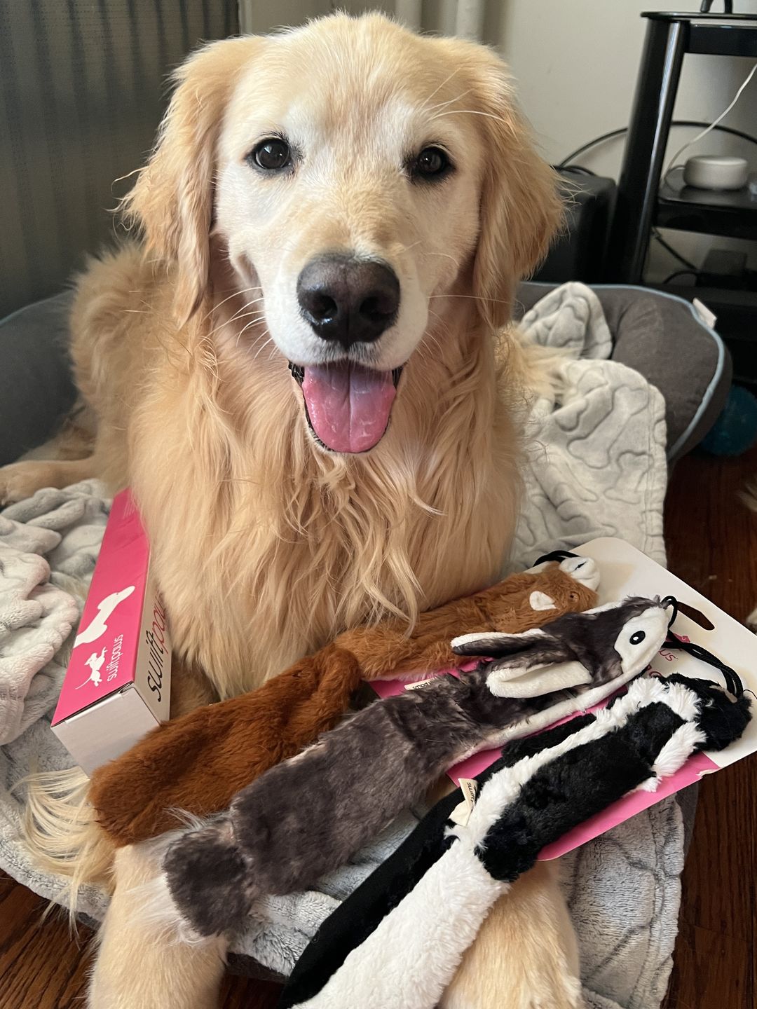 Customer photo review of Critter Pack