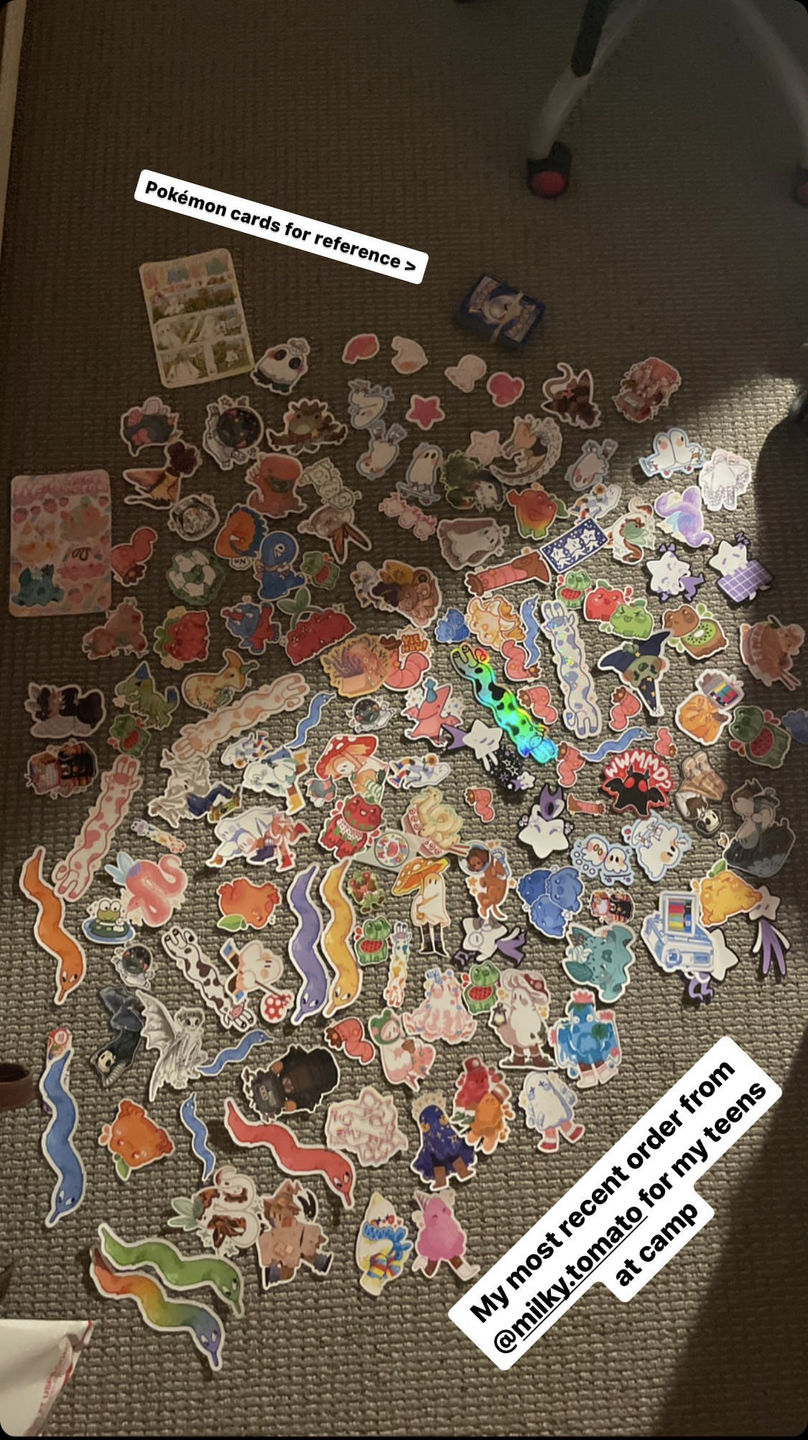 Customer photo review of Aesthetic Skeleton Stickers