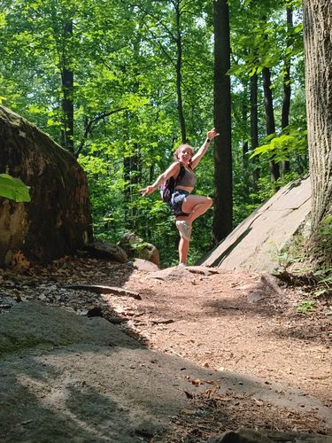 Customer photo review of Salty Savage Ladies Mid Rise Booty Scrunch Training Shorts | Wet Suit Performance | Rad & Sad Hawaiian Print