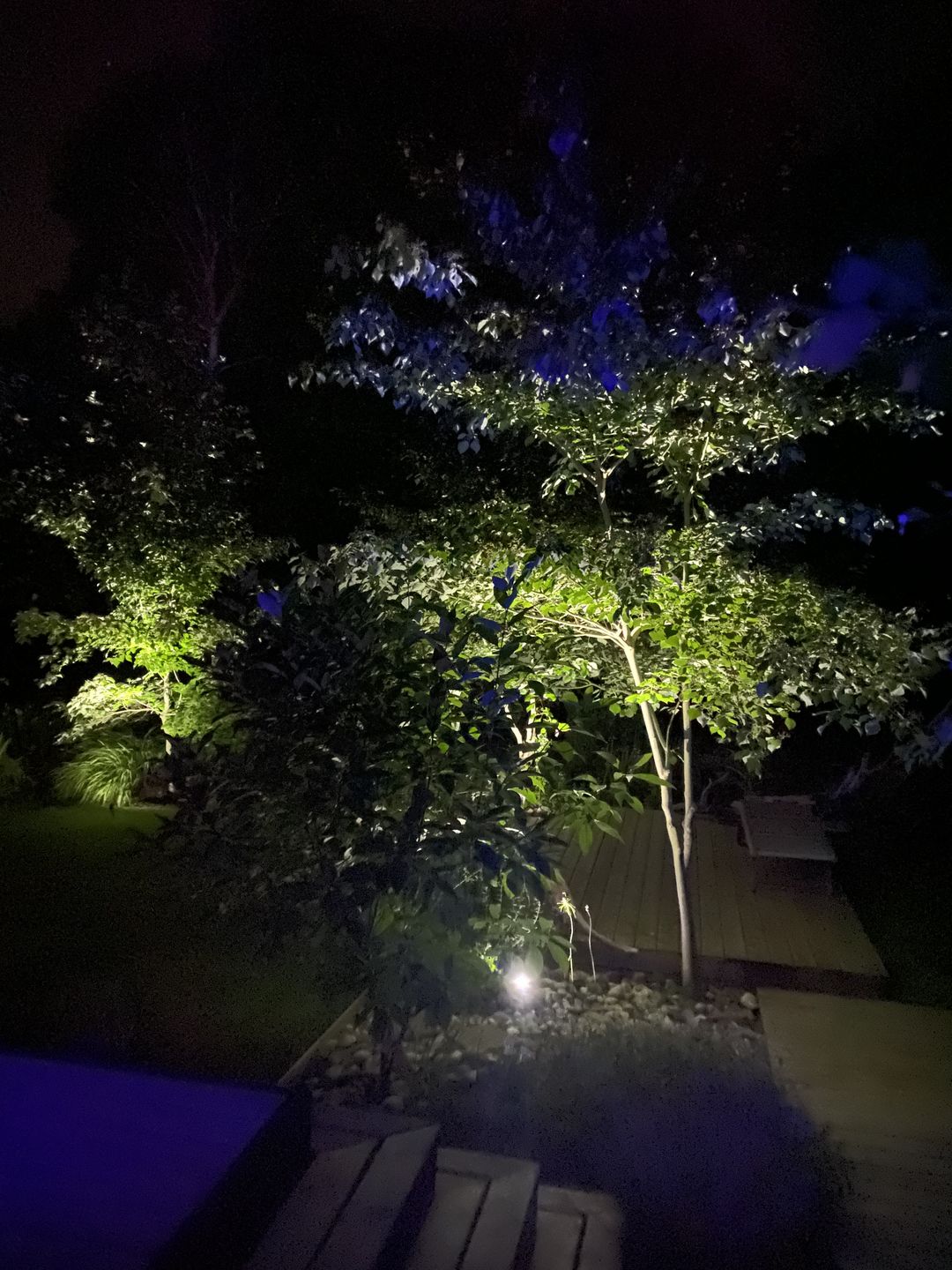 Customer photo review of TSUN Solar Spotlights Outdoor Garden Lights