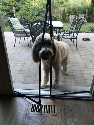 Customer photo review of Best Magnetic Screen Door（Regular Size）