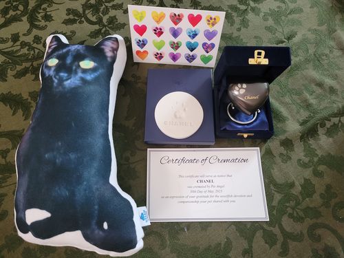 Customer photo review of Create A Custom Cat Pillow
