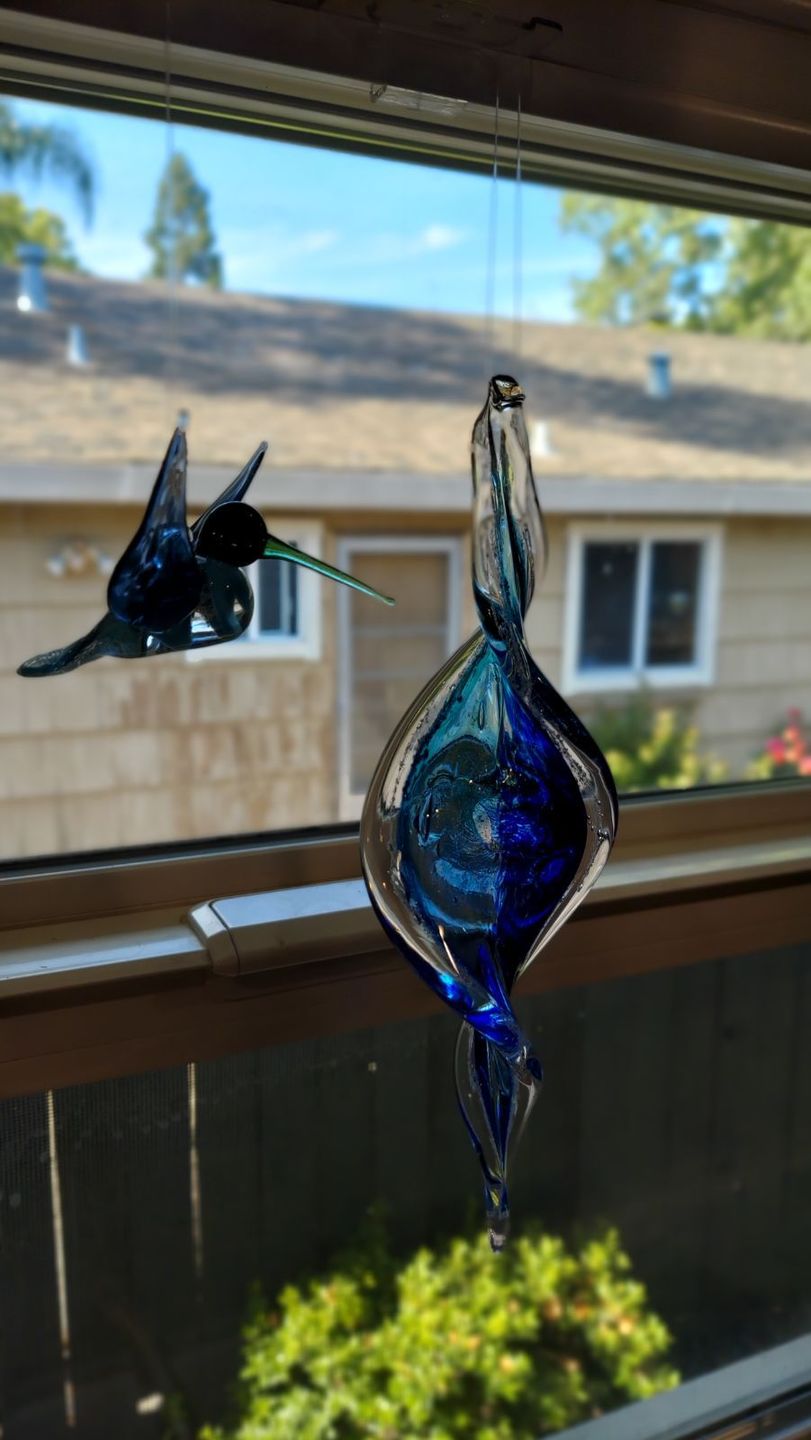 Customer photo review of Aqua Glass Hummingbird with Infused Ash