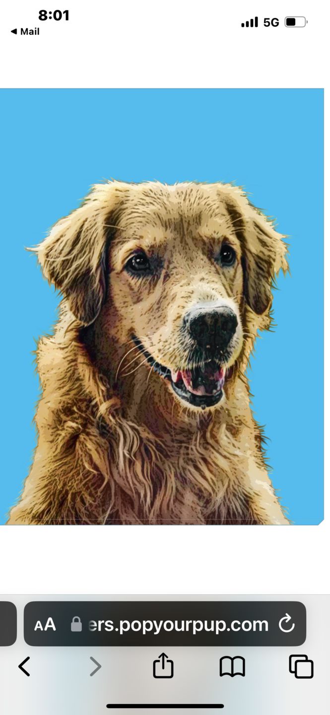 Customer photo review of Custom Pet Art Canvas Wrap