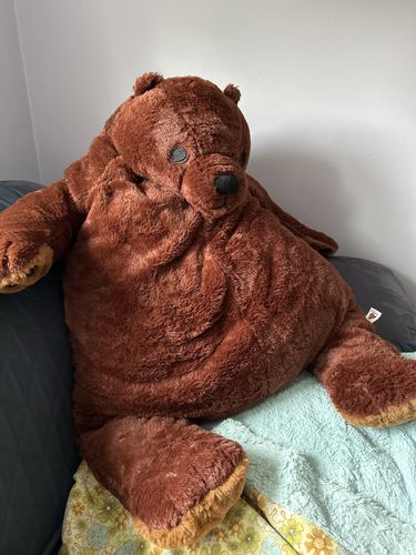 Customer photo review of SKOGGY BEAR