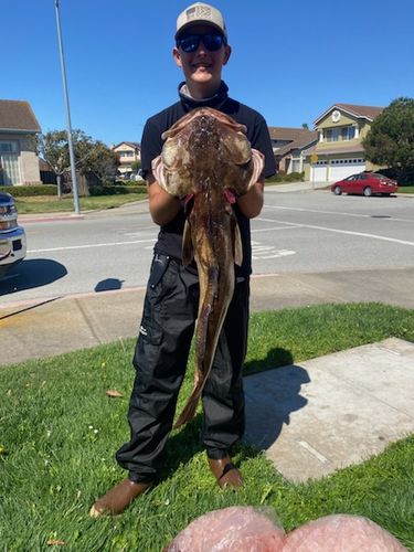 Customer photo review of Fisherman's Life® Vertical Jigs 100g, 150g, 200g, 300g FOUR COLORS available