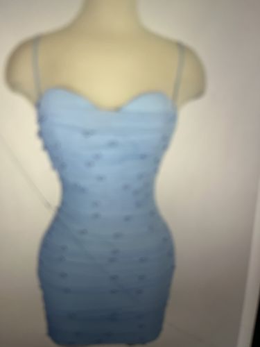 L. review of Emilia Pearl Mesh Ruched Sleeveless Bodycon Mini Dress image 1 out of 1