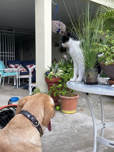 Customer photo review of ByteTag Slide