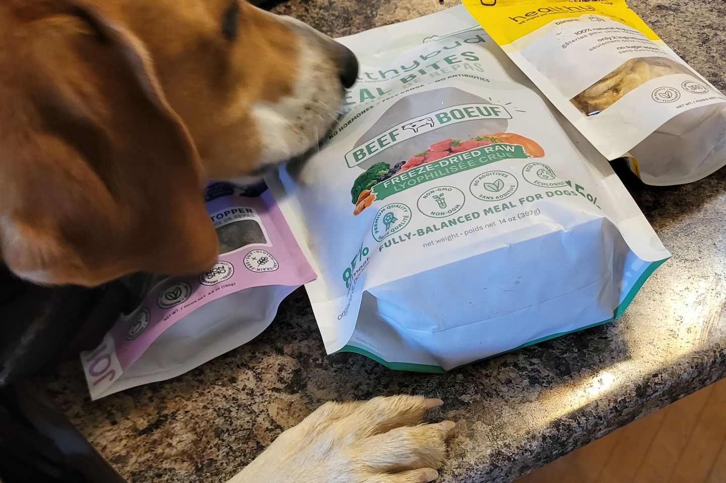 Customer photo review of Beef Meal Bites