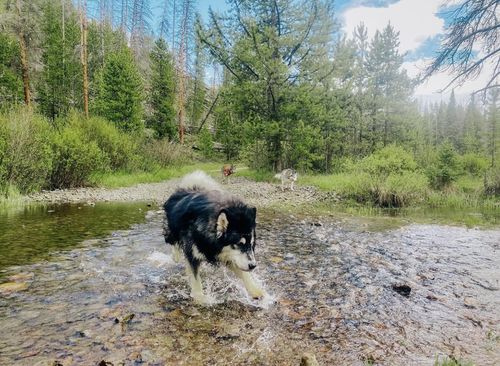 Customer photo review of HIKING LIGHTROOM PRESETS