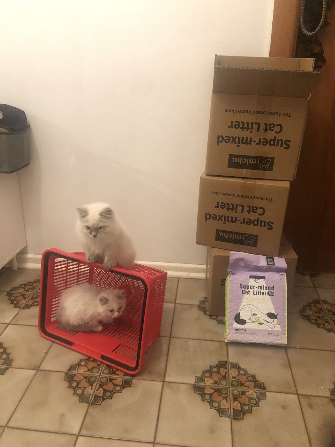 Customer photo review of Michu Premium Mixed Tofu Cat Litter Pro Gen2 - Flushable, Eco-Friendly & Odour-Control Formula in Australia