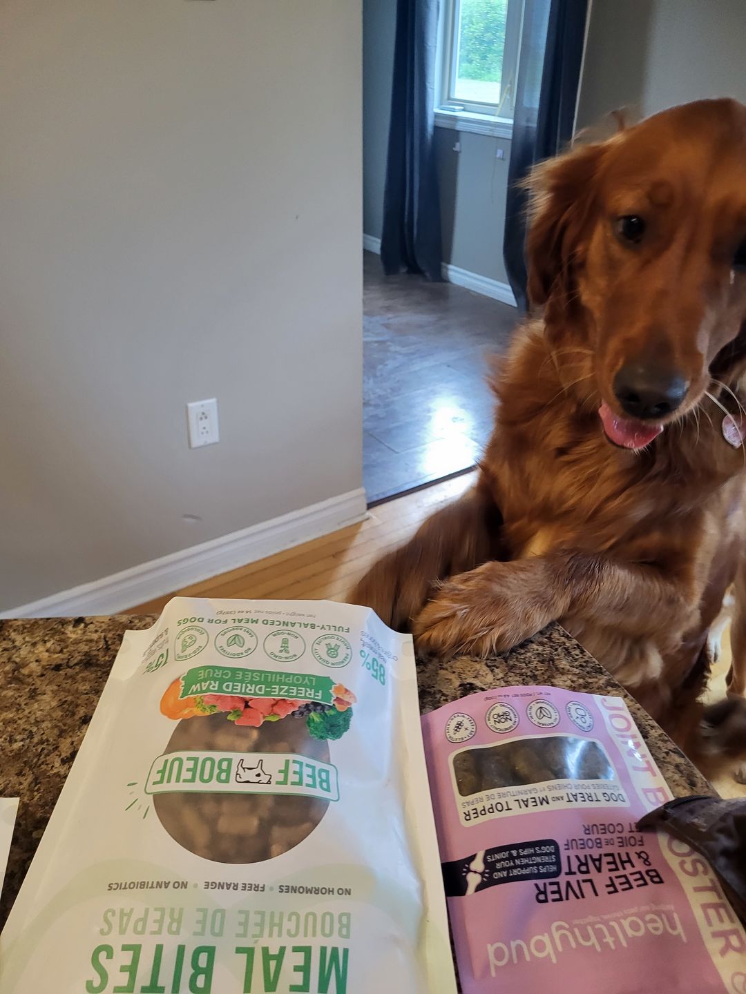 Customer photo review of Beef Joint Booster