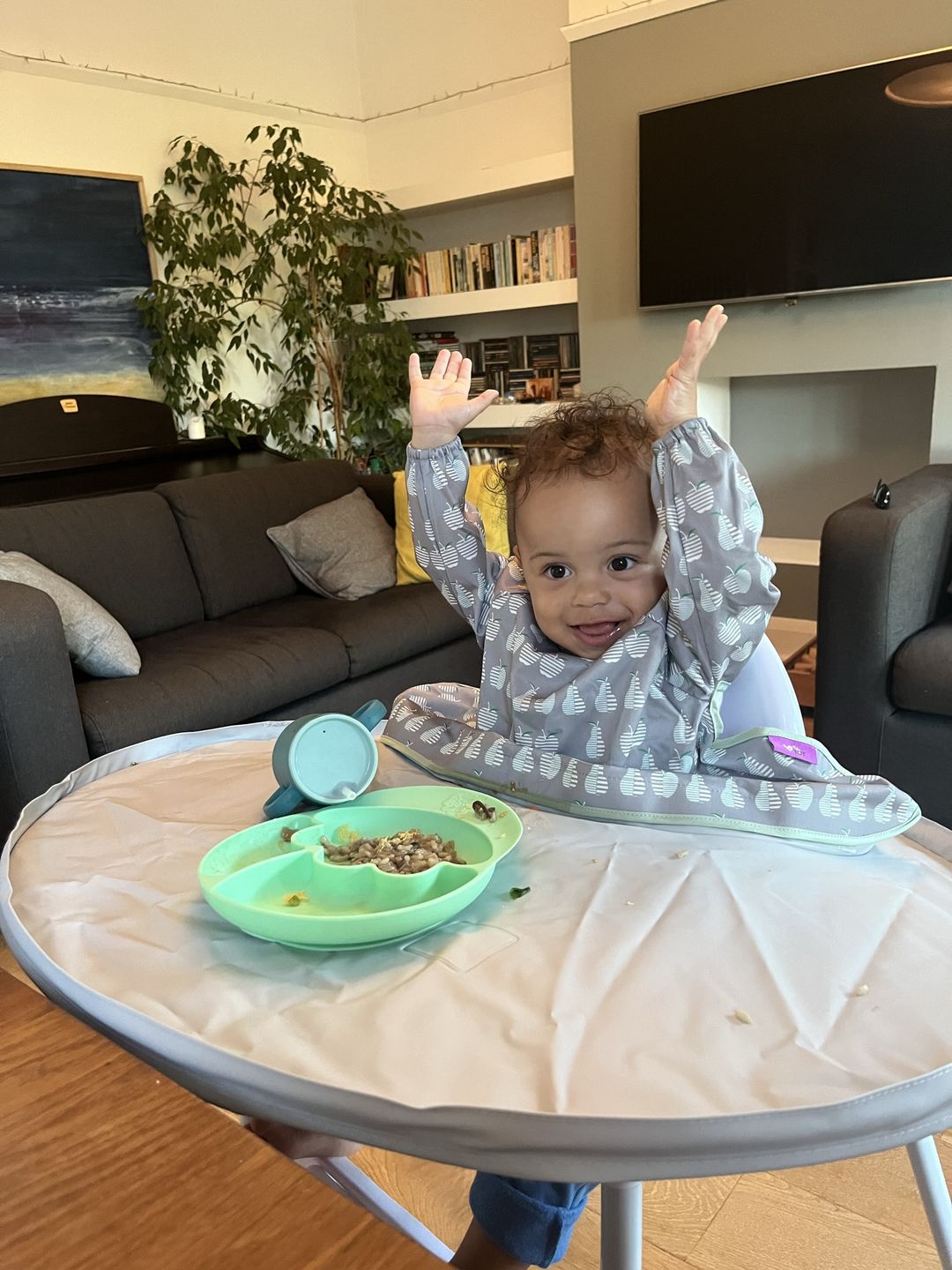 Customer photo review of Bib & Tray Kit