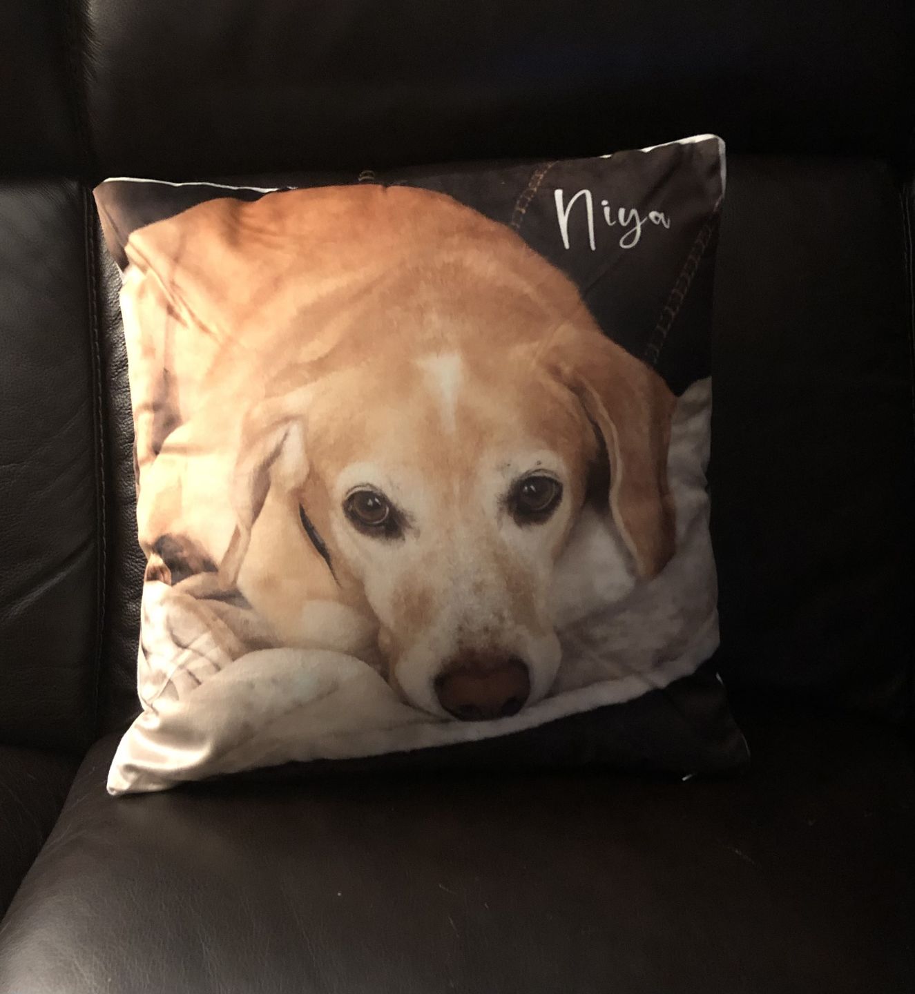 Customer photo review of Custom Photo Pillow with Your Dog Photos, Print Pet Photo on Pillow