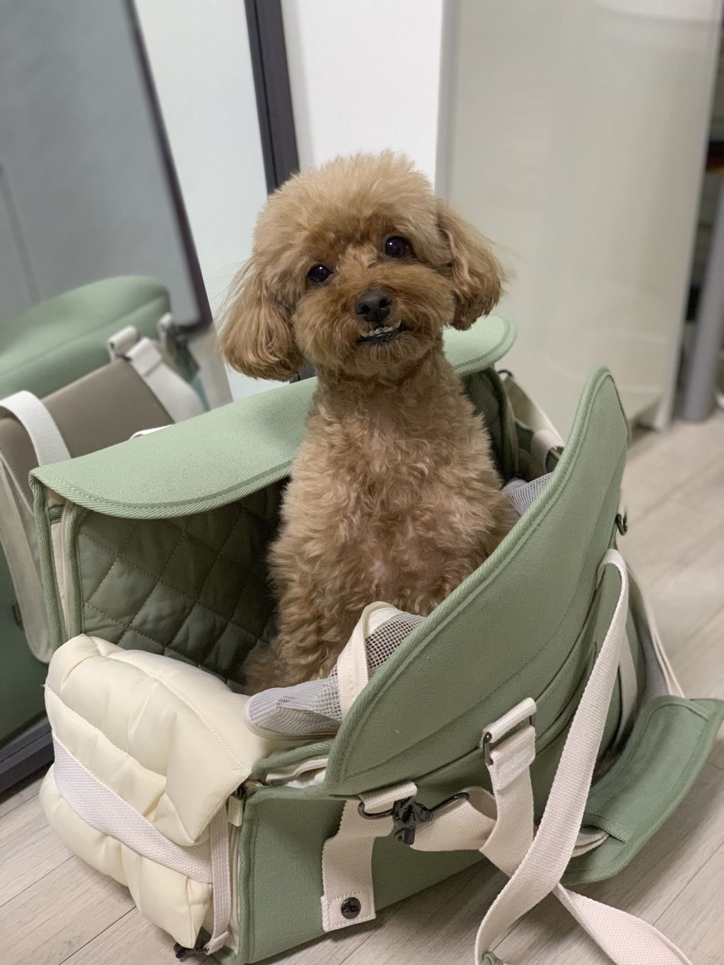 Customer photo review of Sunday Pet Bag
