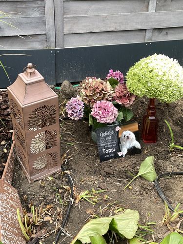 Customer photo review of Hunde Gedenktafel mit Foto & Spruch (UV- und wetterbeständig)