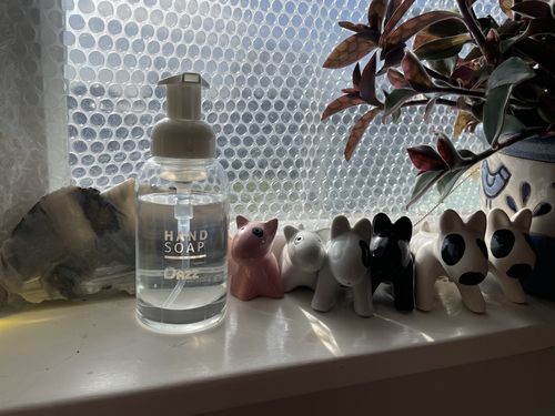 Customer photo review of Dazz Eco Home Cleaning Kit