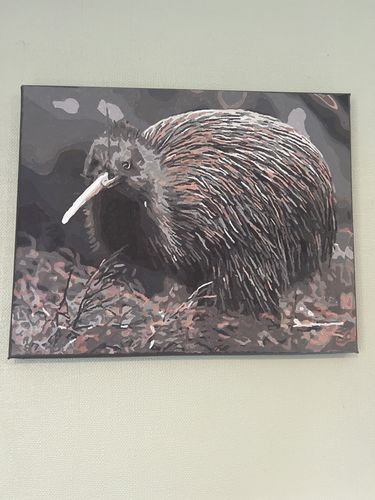 Customer photo review of Little Brown Kiwi