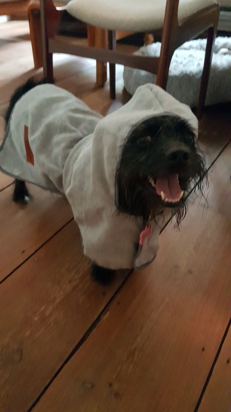 Customer photo review of Premium Hunde Bademantel