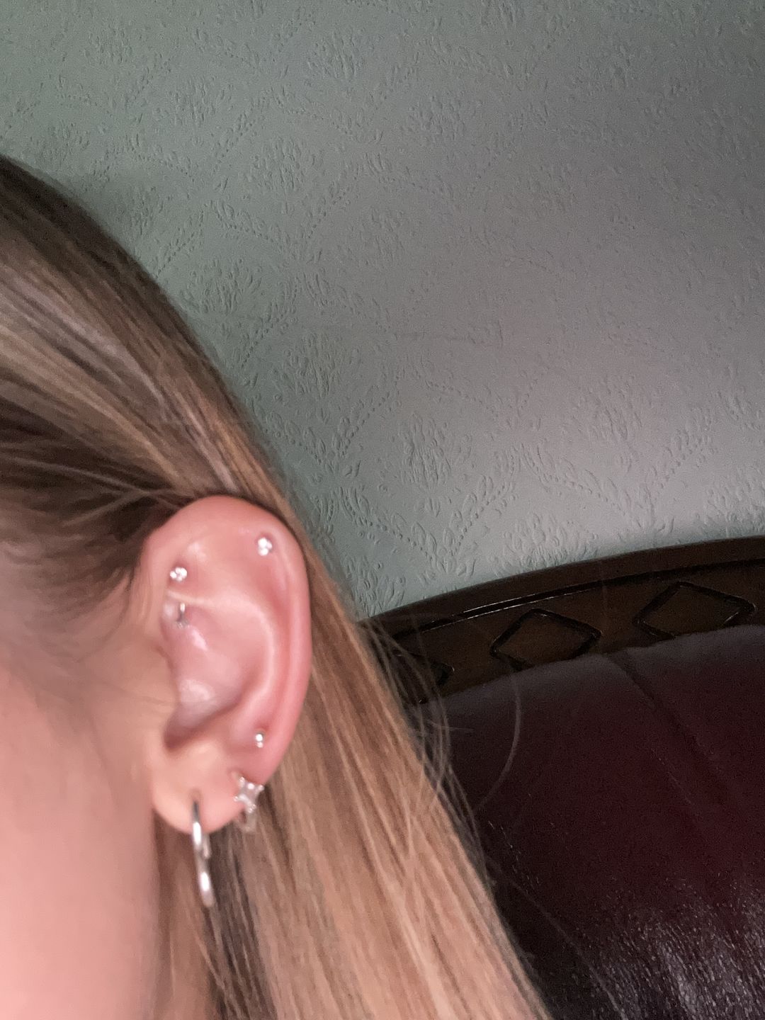 Customer photo review of Crystal Curved Barbell