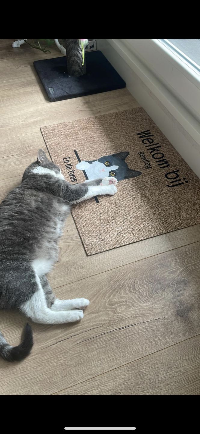 Customer photo review of Welkom bij nieuwsgierige katten - Gepersonaliseerde deurmat