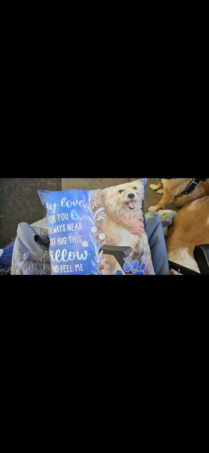 Customer photo review of Custom Photo My Love For You Is Always Here - Memorial Personalized Custom Pillow - Sympathy Gift, Gift For Pet Owners, Pet Lovers