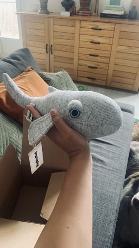 Customer photo review of The Mini Whale