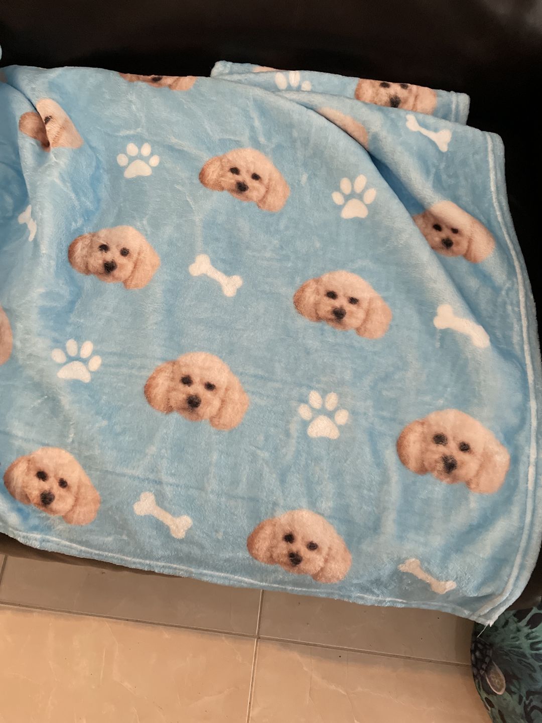 Customer photo review of Customized Pet Multi-Head Blanket with Bones
