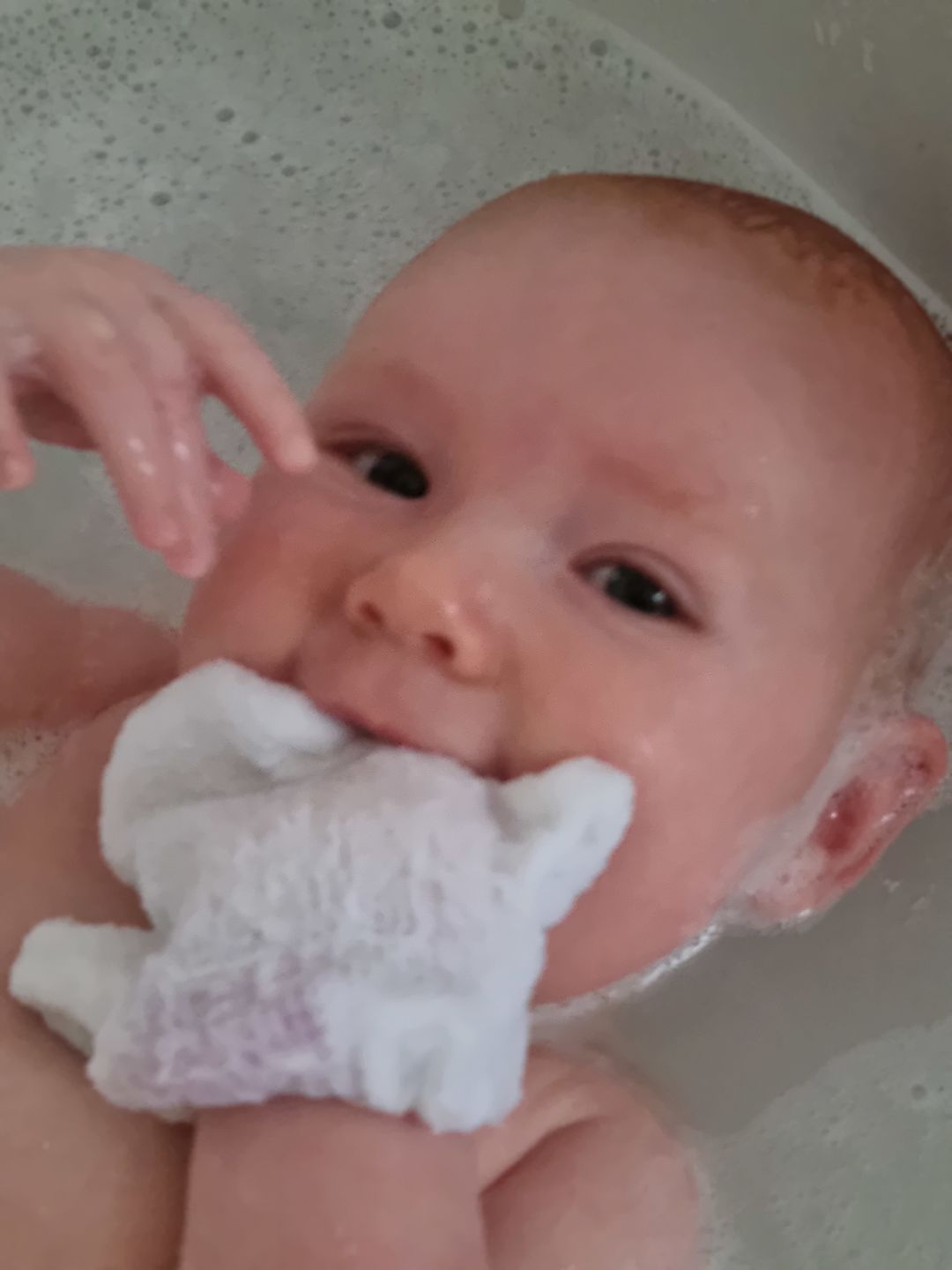 Customer photo review of Bamboo Wash Mitts