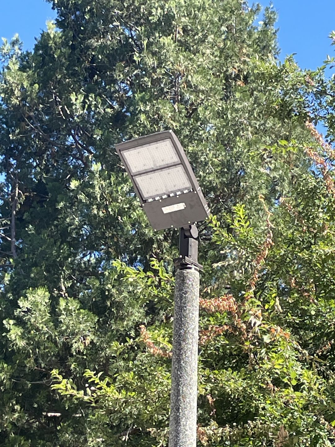 Customer photo review of 300W LED Pole Lights Outdoor, 5700K, Universal Mount, Bronze, IP65 Waterproof, AC120-277V, LED Parking Lot Lights - Commercial Area Street Security Lights